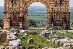 volubilis