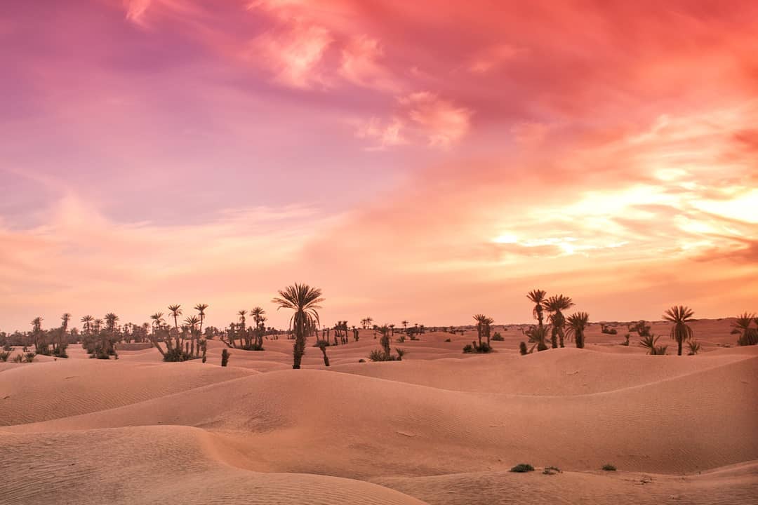 4 días desde Marrakech al desierto